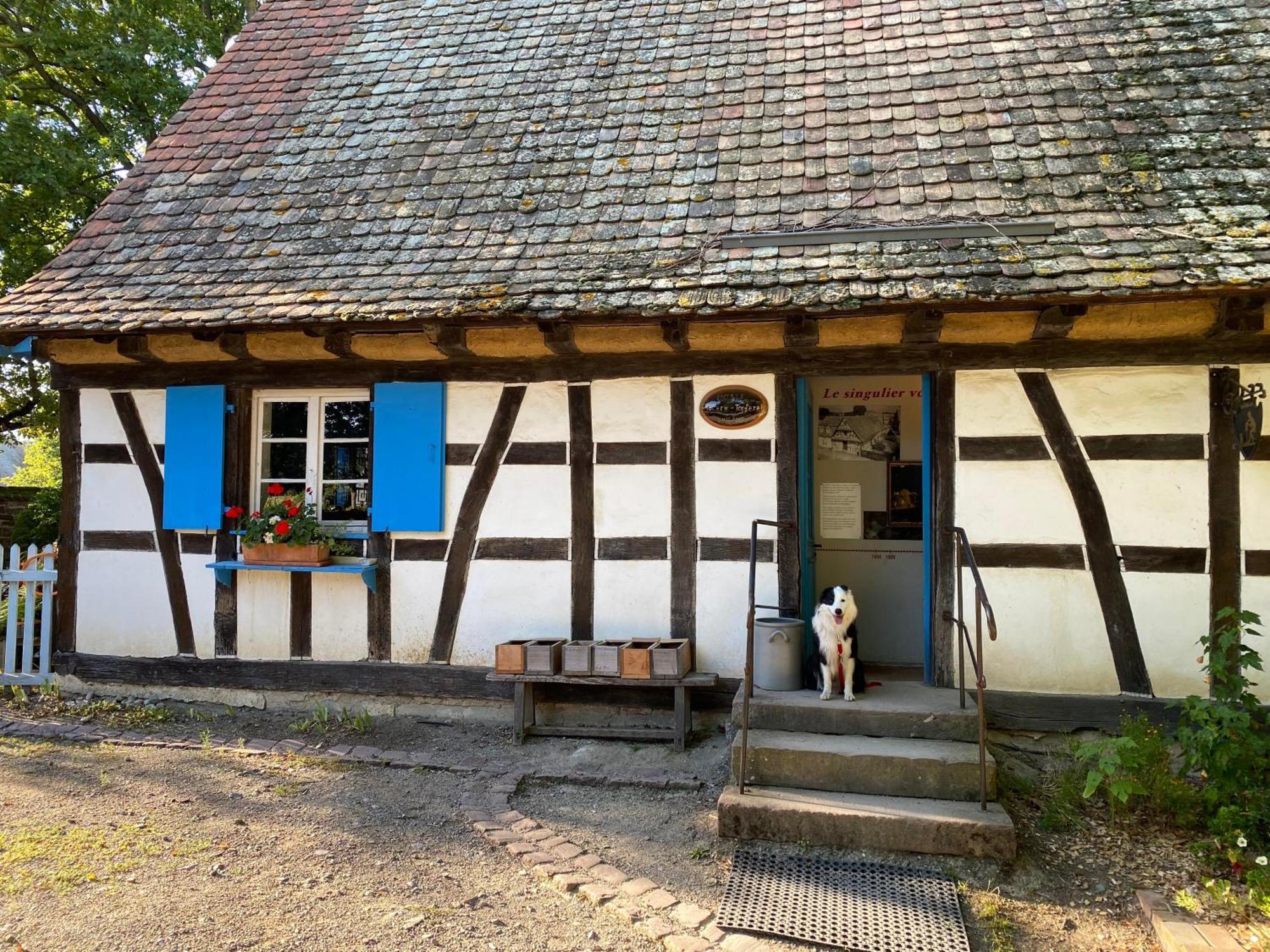 Chambres D'Hotes Des Cascades St-Nicolas Kruth Exterior photo